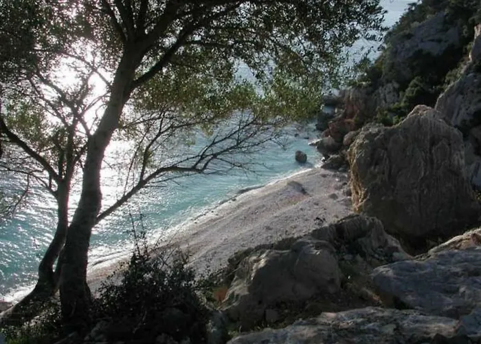 San Francisco Otel 3*