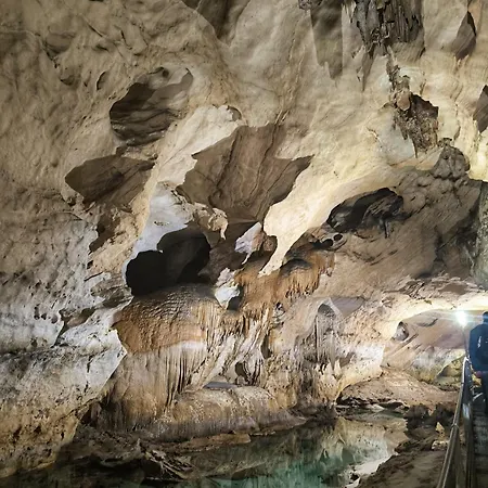 San Francisco カーラゴノネ