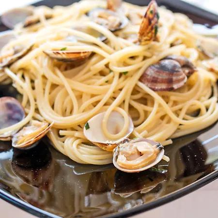 San Francisco Szálloda 3*